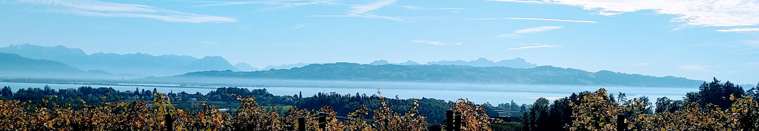 blauer_himmel_über_dem_bodensee